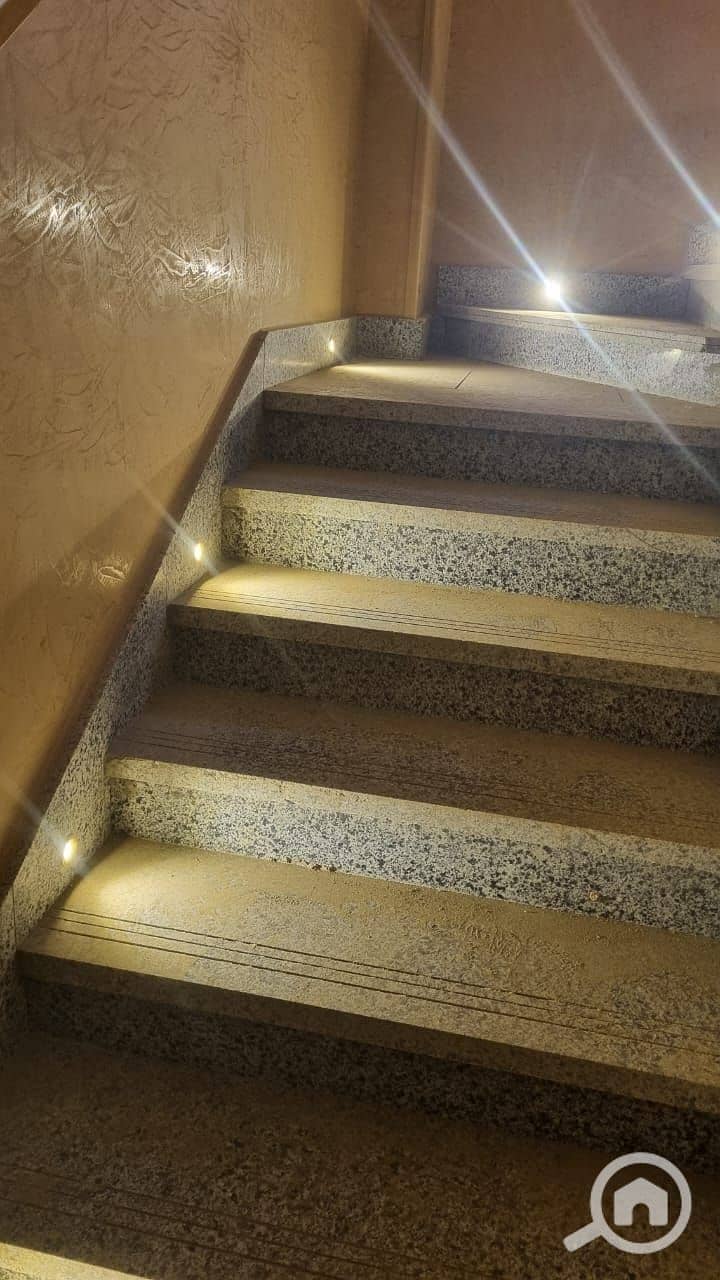 3 1000377927. jpg
