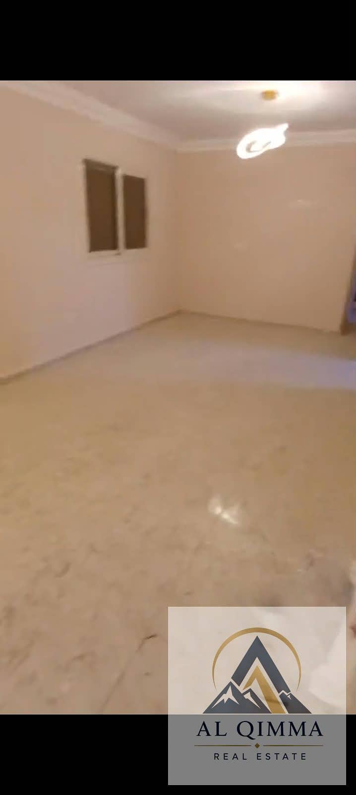 3 294009. jpg