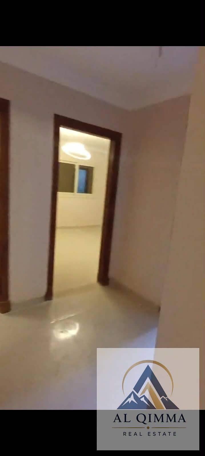 7 294007. jpg