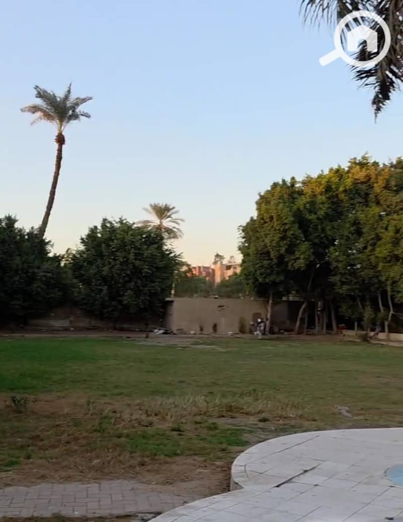 3 1001059599. jpg