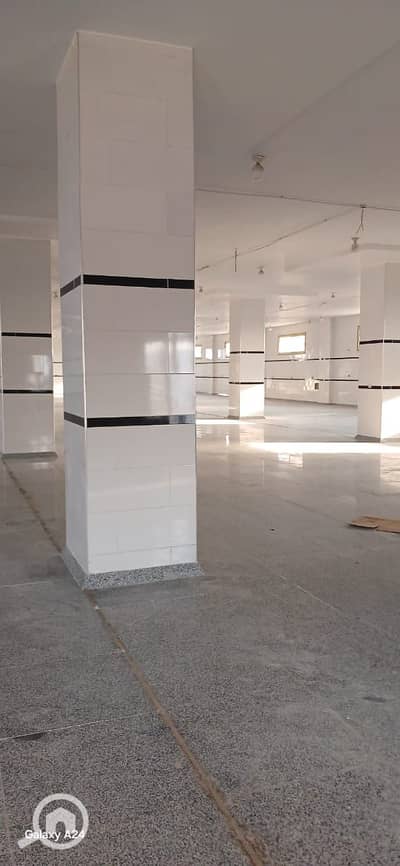 Factory for Rent in Badr City, Cairo - 1000201901. jpg Factory for Rent in Badr City, Cairo - 1000201901. jpg