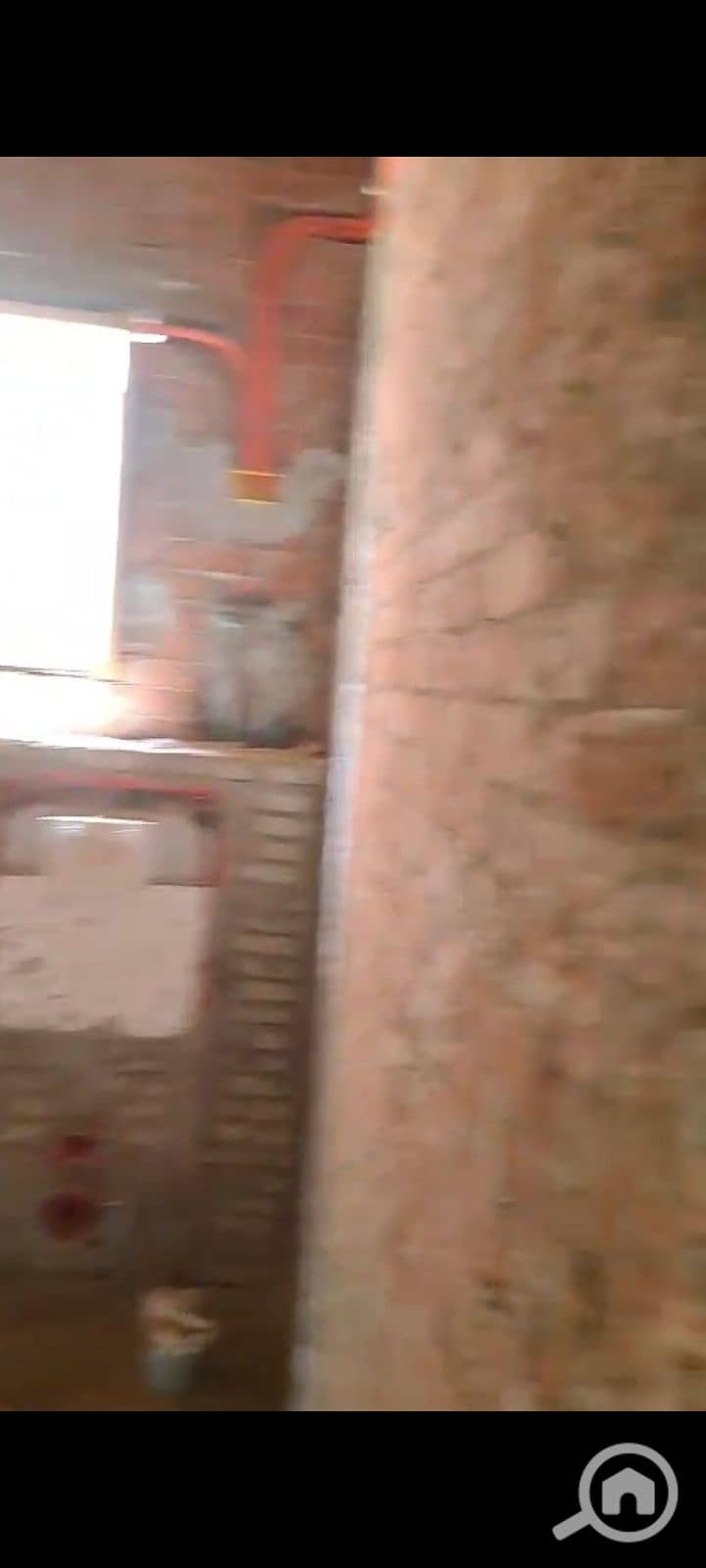 4 145164. jpg