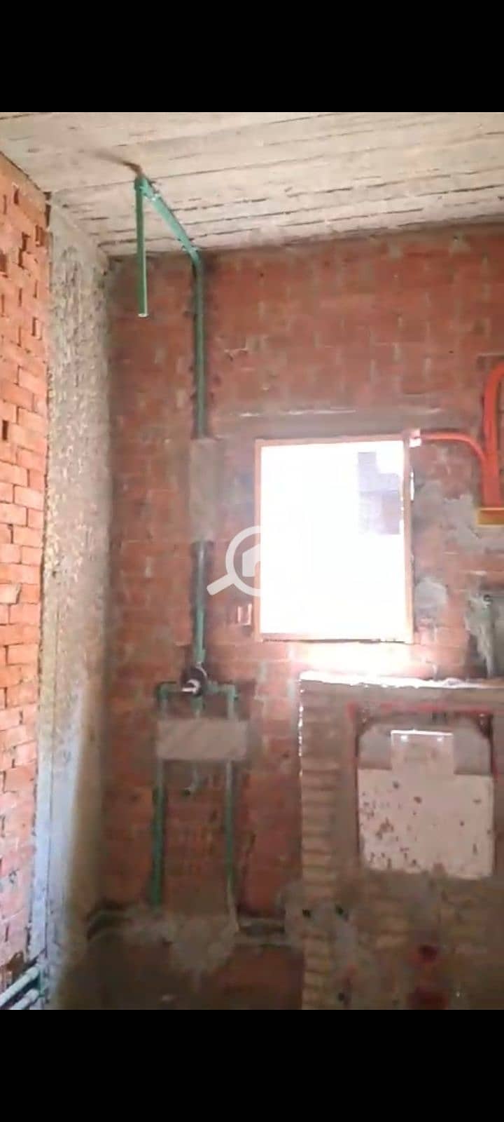 5 145163. jpg