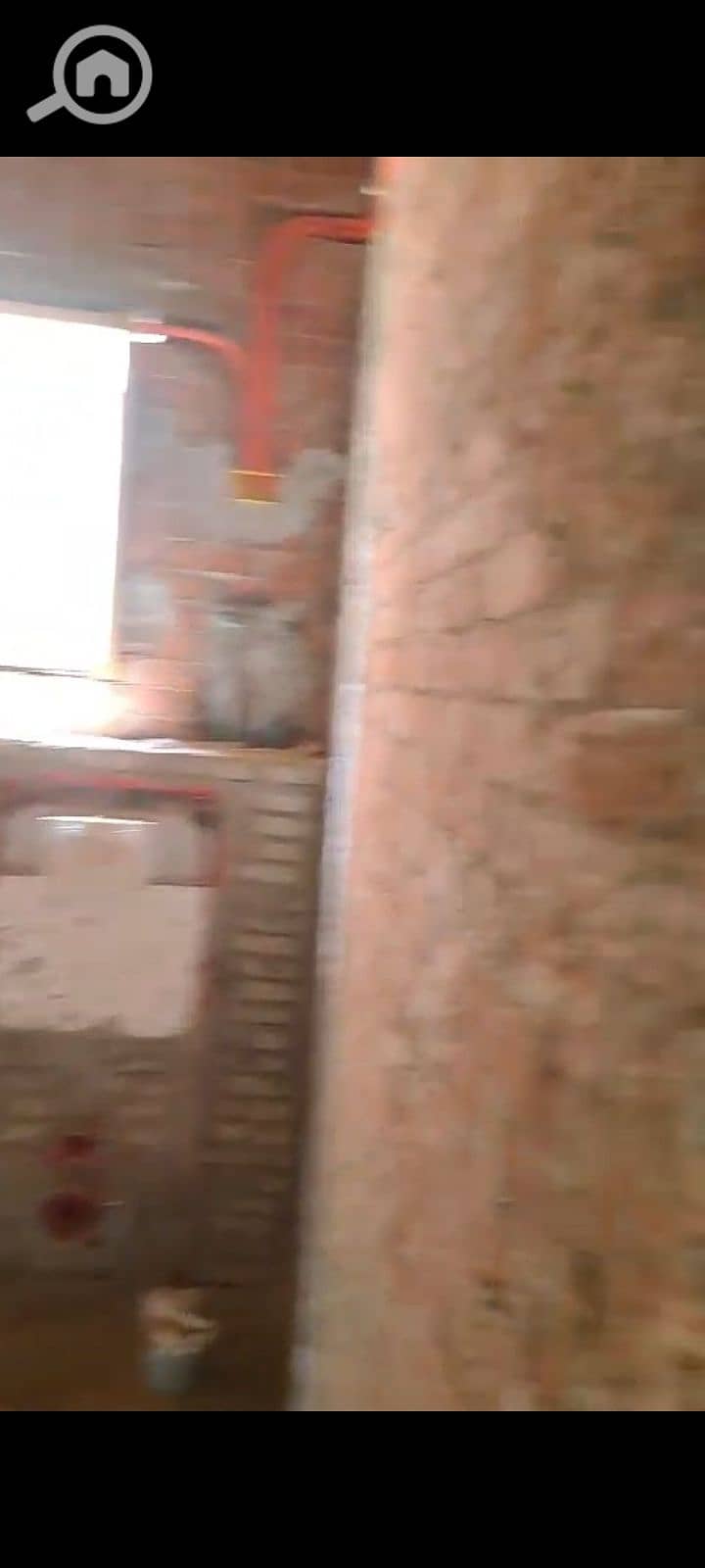7 145164. jpg