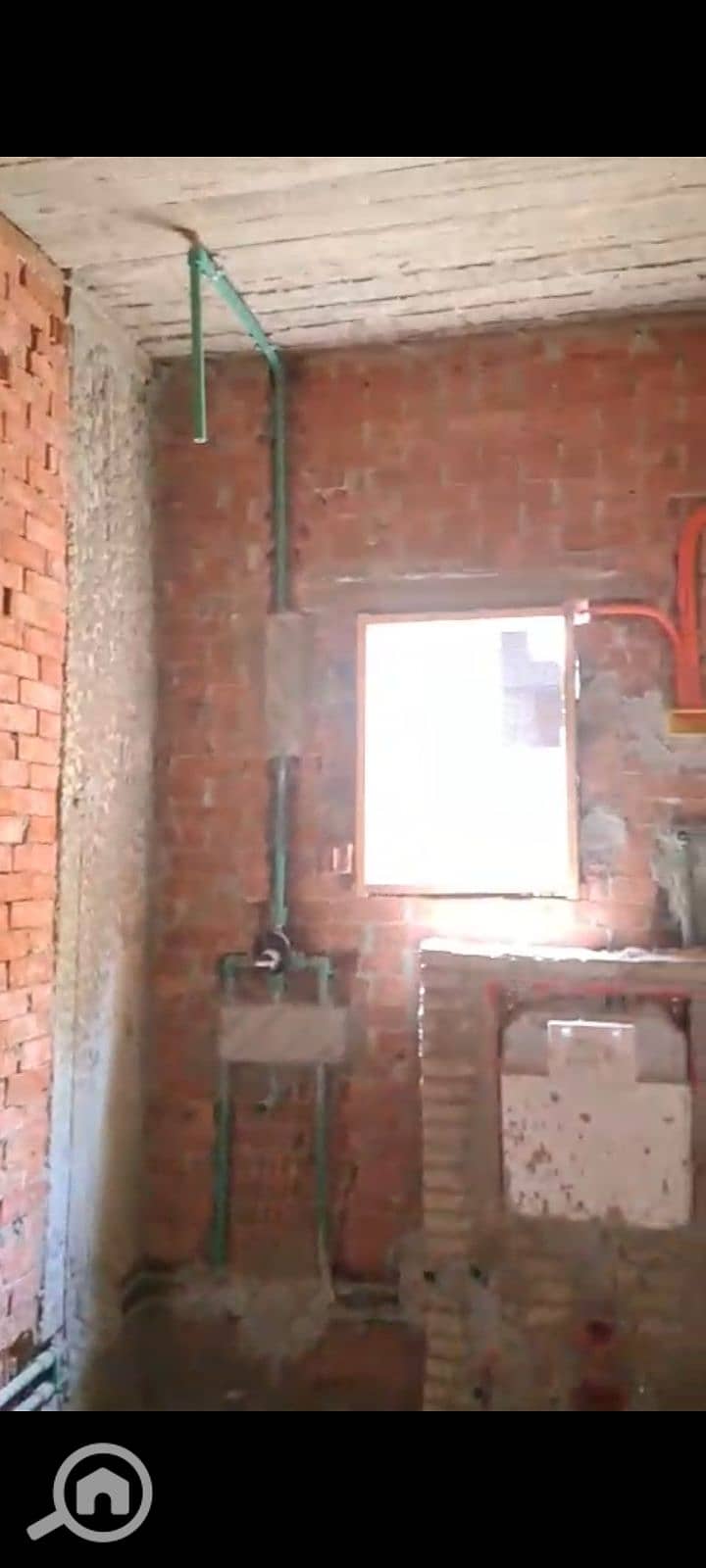 8 145163. jpg