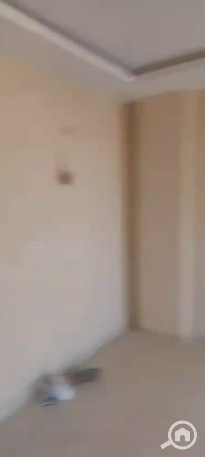 5 145173. jpg