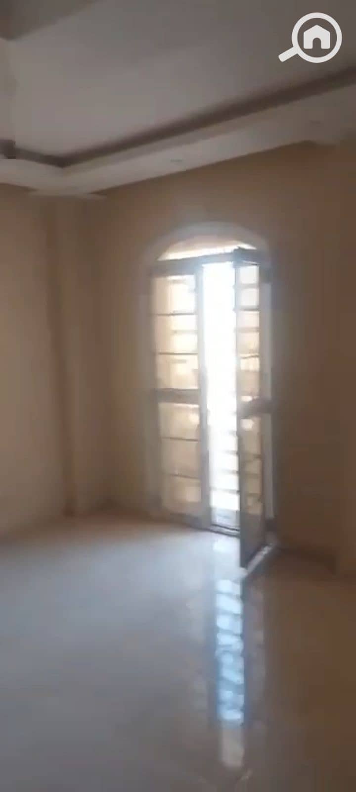 7 145171. jpg