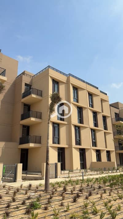 3 Bedroom Apartment for Sale in Sheikh Zayed, Giza - WhatsApp Image 2026-08-09 at 2.44. 00 PM (1). jpeg 3 Bedroom Apartment for Sale in Sheikh Zayed, Giza - WhatsApp Image 2026-08-09 at 2.44. 00 PM (1). jpeg