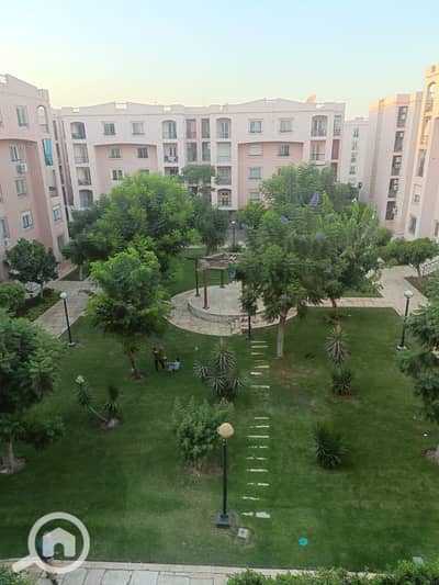 فلیٹ 3 غرف نوم للايجار في القاهرة الجديدة، القاهرة - 1001236687. jpg