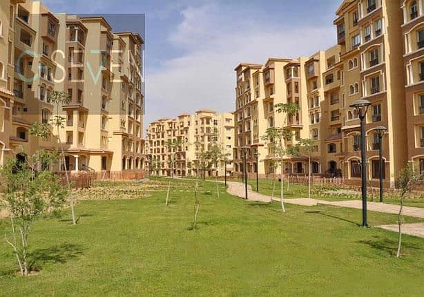 5 مدينتي2. jpg