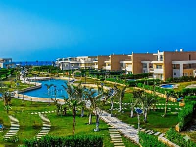 2 Bedroom Chalet for Sale in North Coast, Matruh - WhatsApp Image 2026-09-13 at 5.31. 55 PM (1). jpeg 2 Bedroom Chalet for Sale in North Coast, Matruh - WhatsApp Image 2026-09-13 at 5.31. 55 PM (1). jpeg