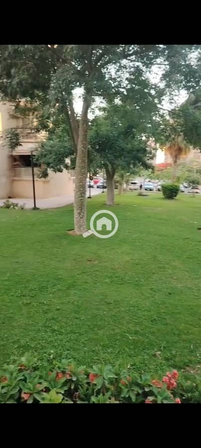 3 Bedroom Apartment for Rent in New Cairo, Cairo - WhatsApp Image 2026-09-14 at 11.59. 18 AM (5). jpeg