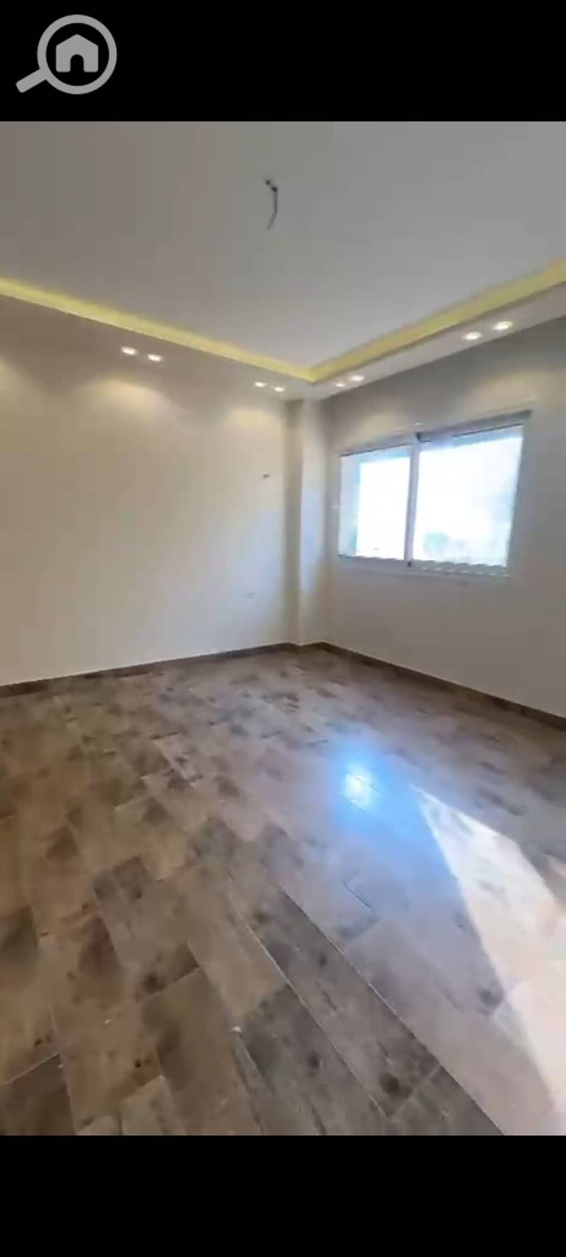10 1000300491. jpg