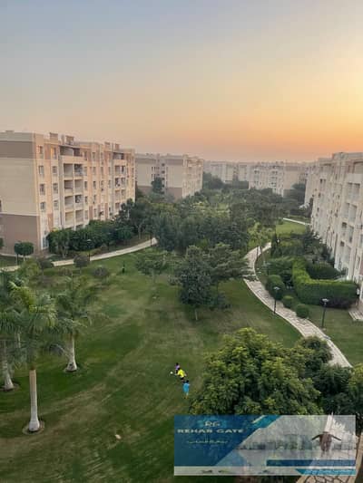 2 Bedroom Flat for Rent in Madinaty, Cairo - 0697c2a2-8b0a-49e5-bc39-d5b9578f1356. jpg 2 Bedroom Flat for Rent in Madinaty, Cairo - 0697c2a2-8b0a-49e5-bc39-d5b9578f1356. jpg