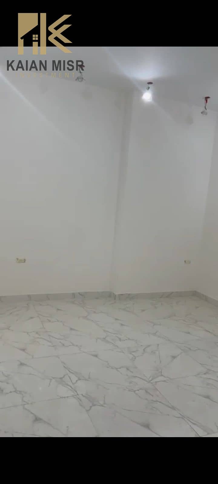 11 1000015667. jpg
