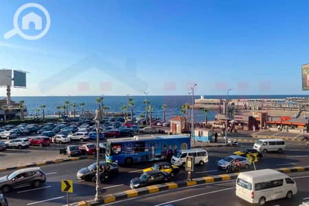شقة 2 غرفة نوم للايجار في جليم، الإسكندرية - WhatsApp Image 2026-09-10 at 15.38. 38. jpg شقة 2 غرفة نوم للايجار في جليم، الإسكندرية - WhatsApp Image 2026-09-10 at 15.38. 38. jpg