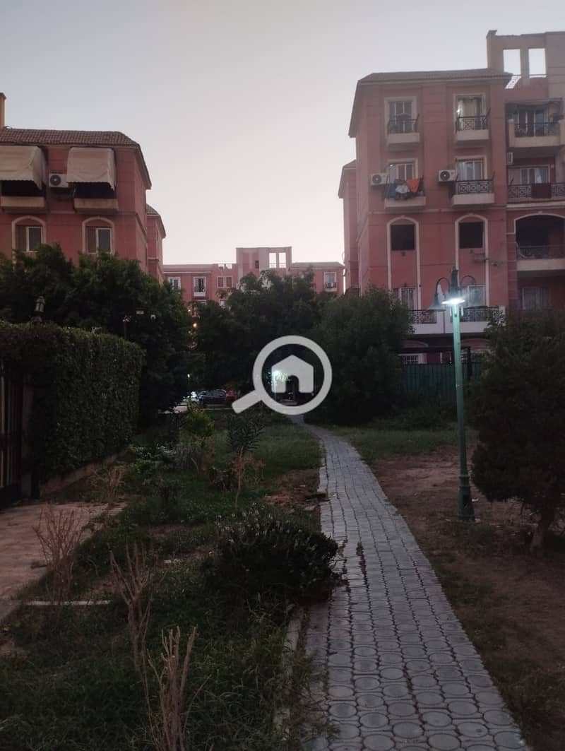 3 437204. jpg