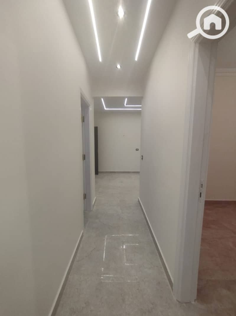 4 437205. jpg