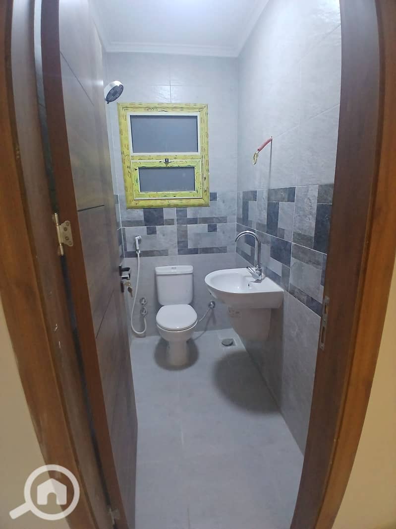 5 273409. jpg