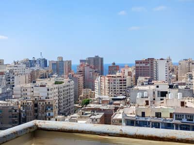 شقة 3 غرف نوم للايجار في بولكلي، الإسكندرية - WhatsApp Image 2026-09-12 at 6.23. 47 PM. jpg شقة 3 غرف نوم للايجار في بولكلي، الإسكندرية - WhatsApp Image 2026-09-12 at 6.23. 47 PM. jpg