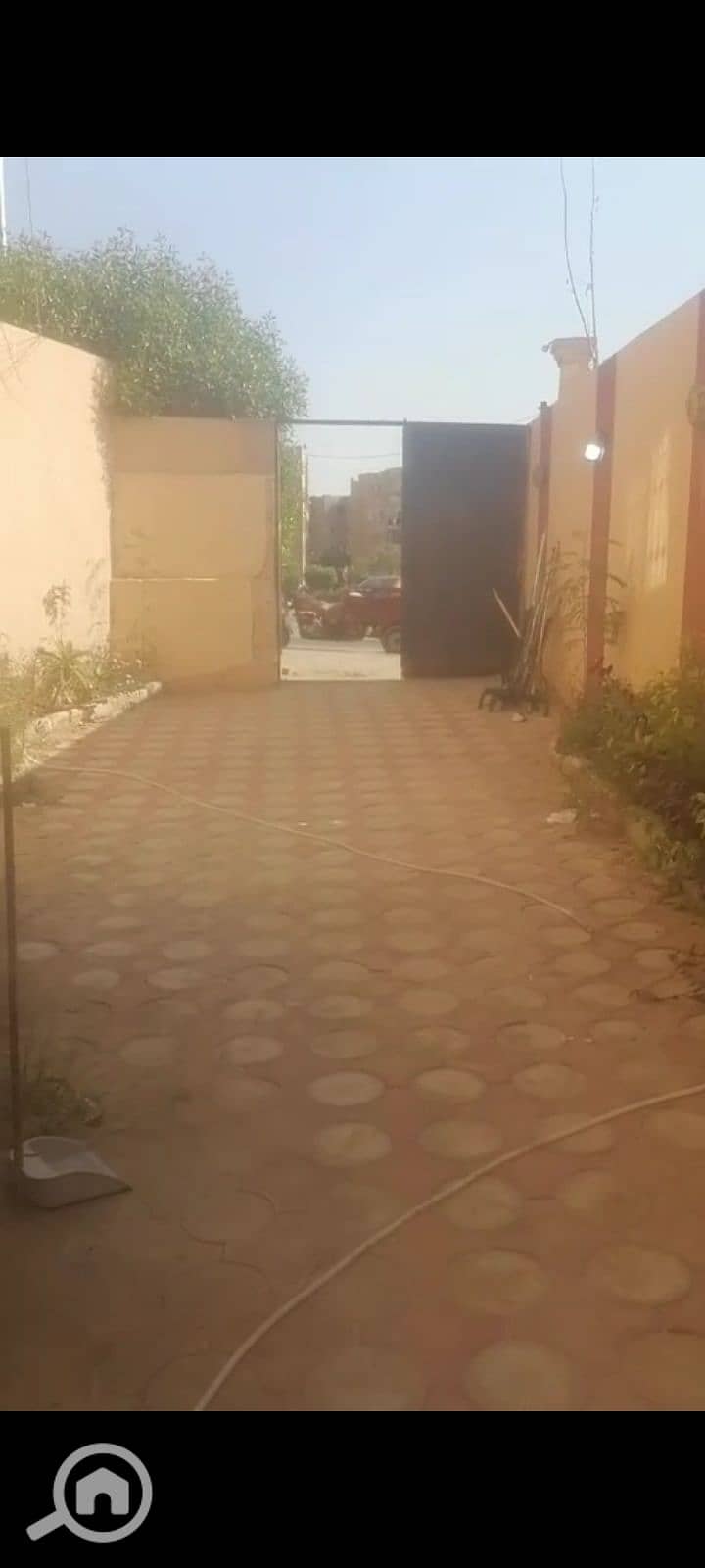 8 1000093329. jpg