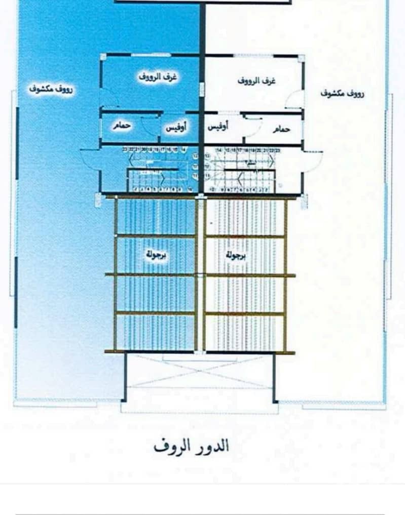 2 1000303640. jpg