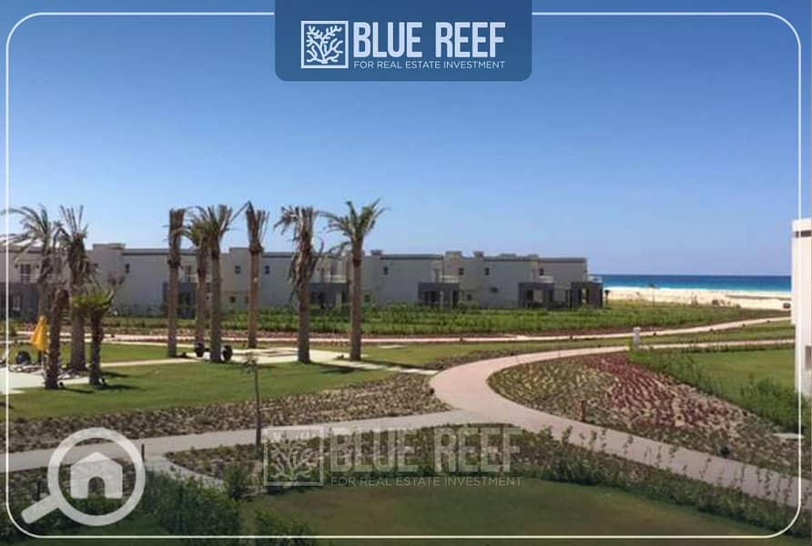 7 1. jpg