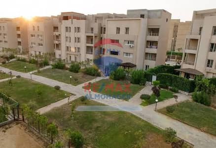 2 Bedroom Apartment for Rent in Sheikh Zayed, Giza - WhatsApp Image 2026-09-14 at 15.50. 49. jpeg 2 Bedroom Apartment for Rent in Sheikh Zayed, Giza - WhatsApp Image 2026-09-14 at 15.50. 49. jpeg
