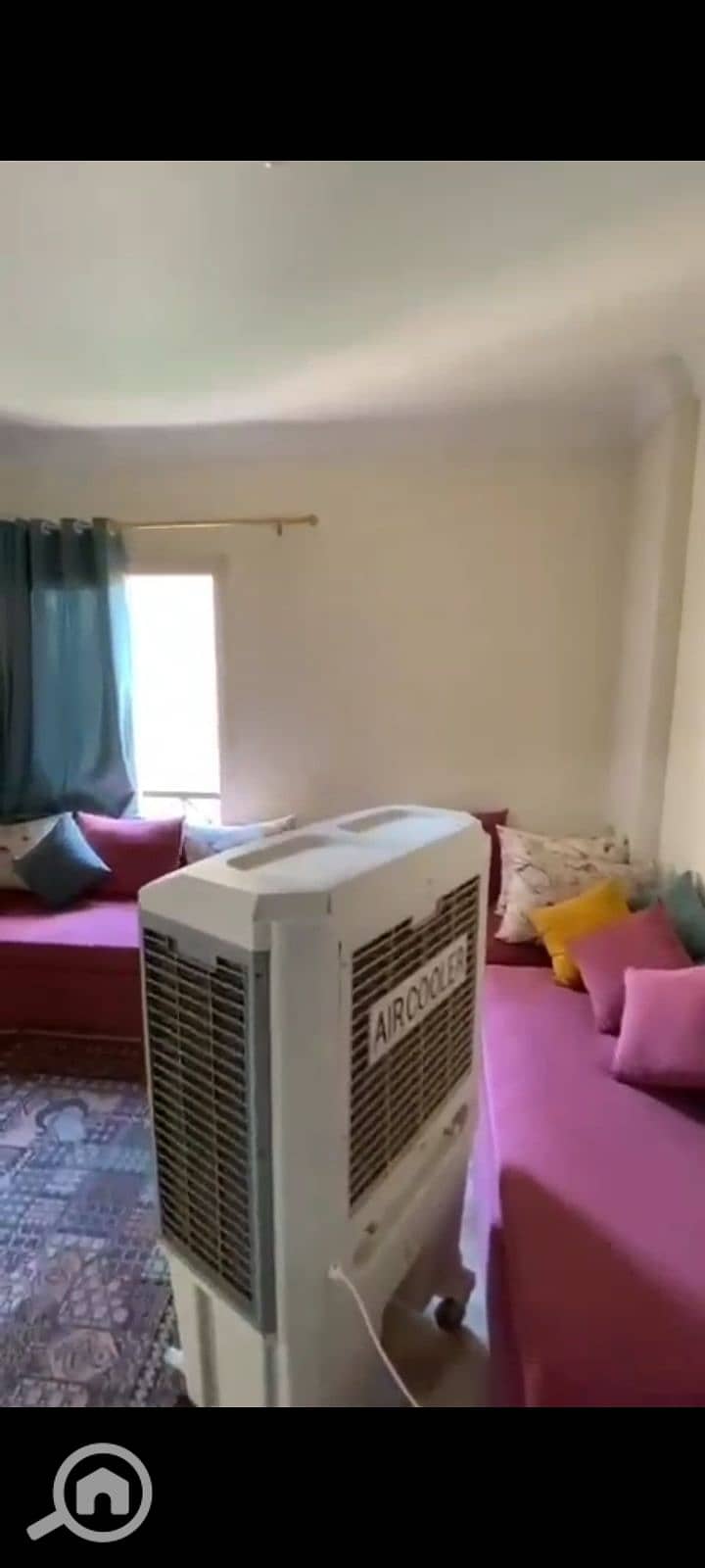 3 1000093335. jpg