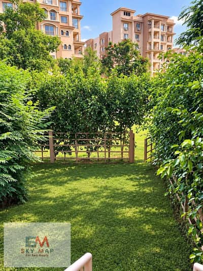 2 Bedroom Flat for Sale in Madinaty, Cairo - 1001235385. jpg 2 Bedroom Flat for Sale in Madinaty, Cairo - 1001235385. jpg