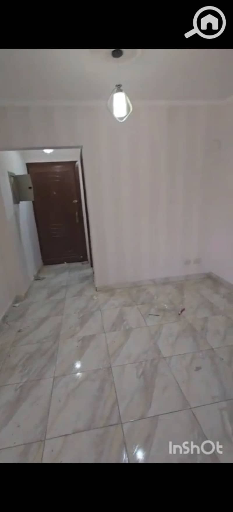 8 347499. jpg