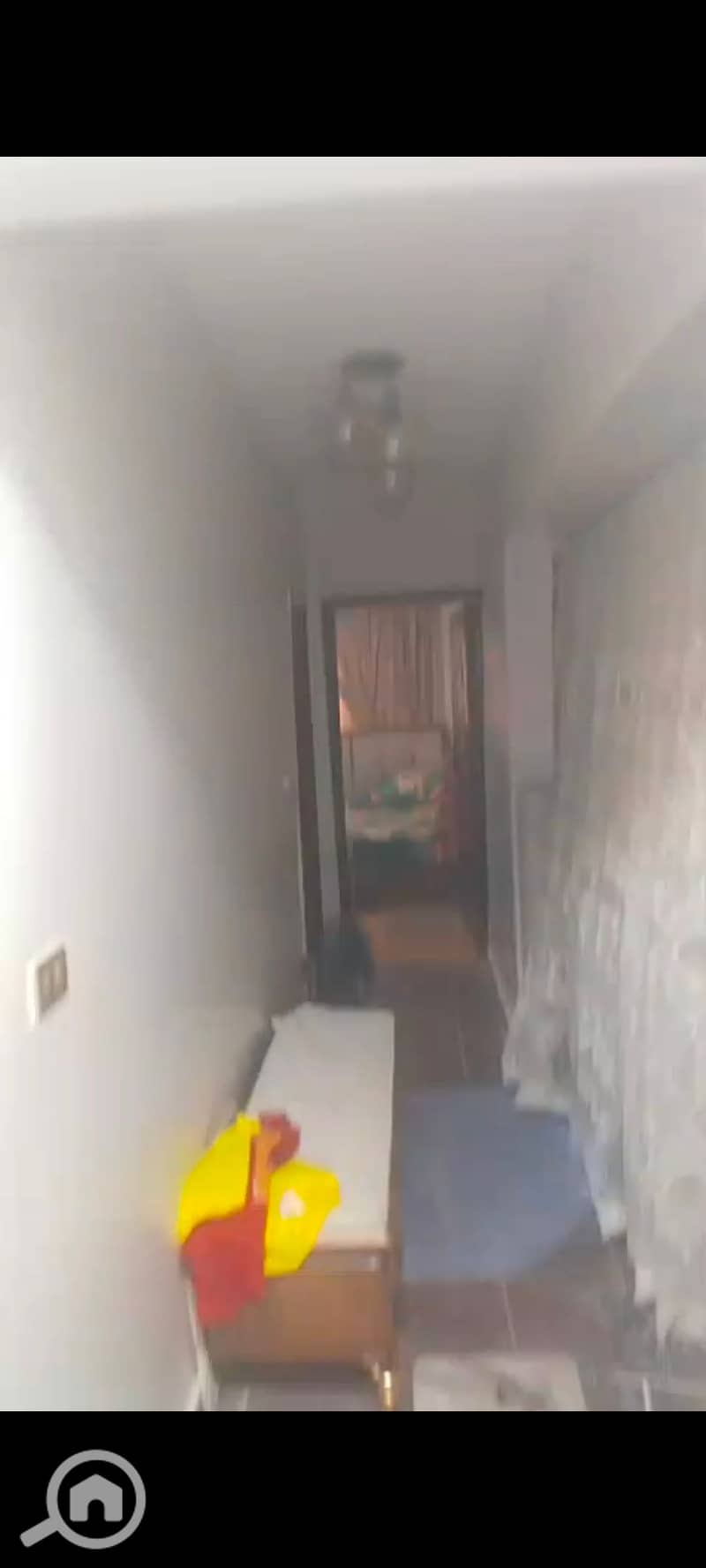 2 123383. jpg
