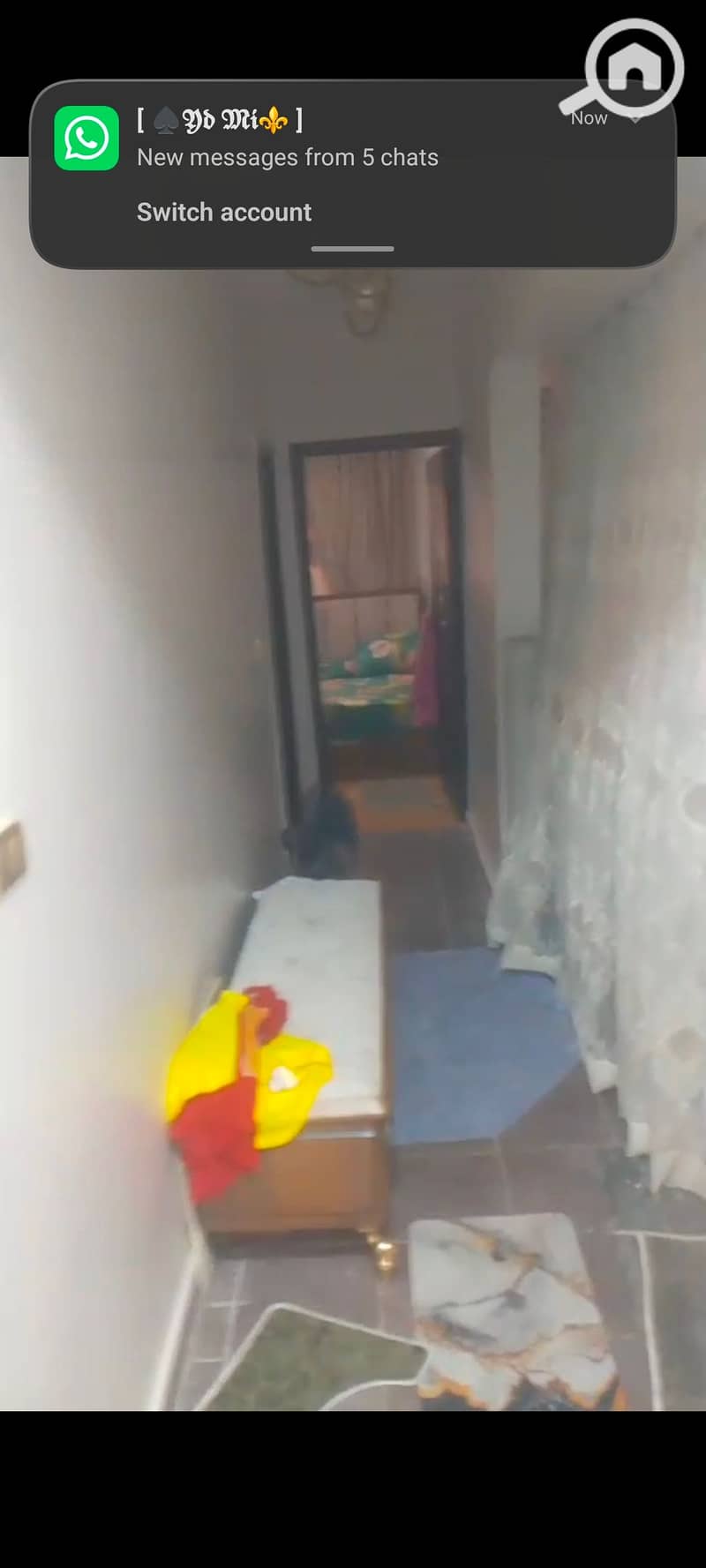 5 123381. jpg