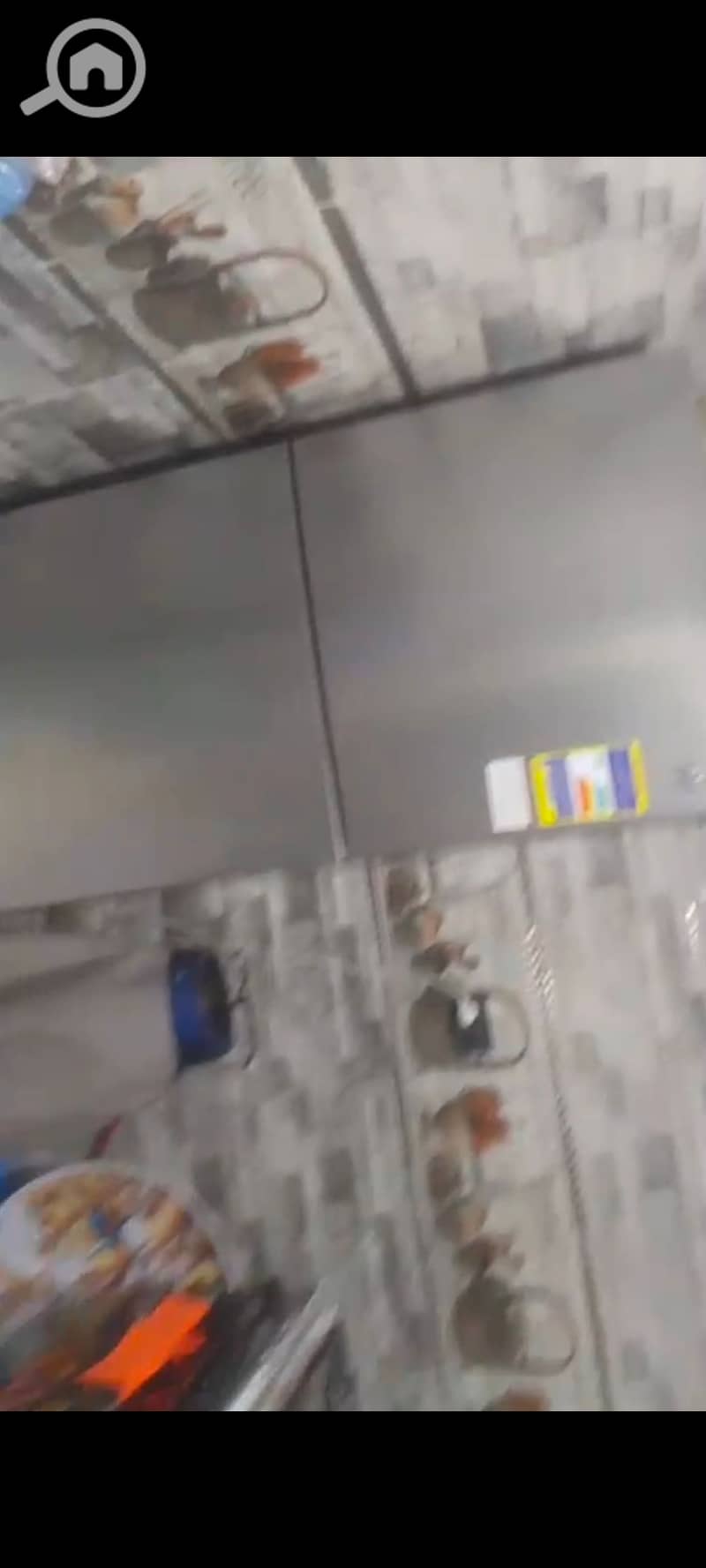 6 123378. jpg