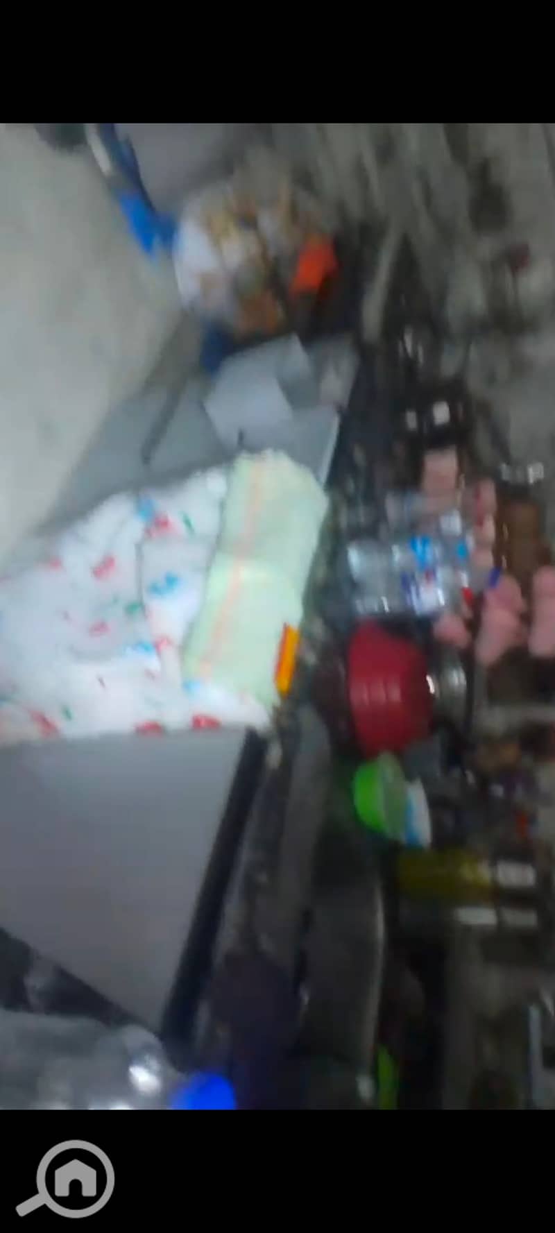 12 123376. jpg