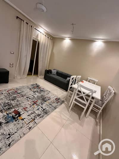 2 Bedroom Apartment for Rent in Miami, Alexandria - 186391. jpg