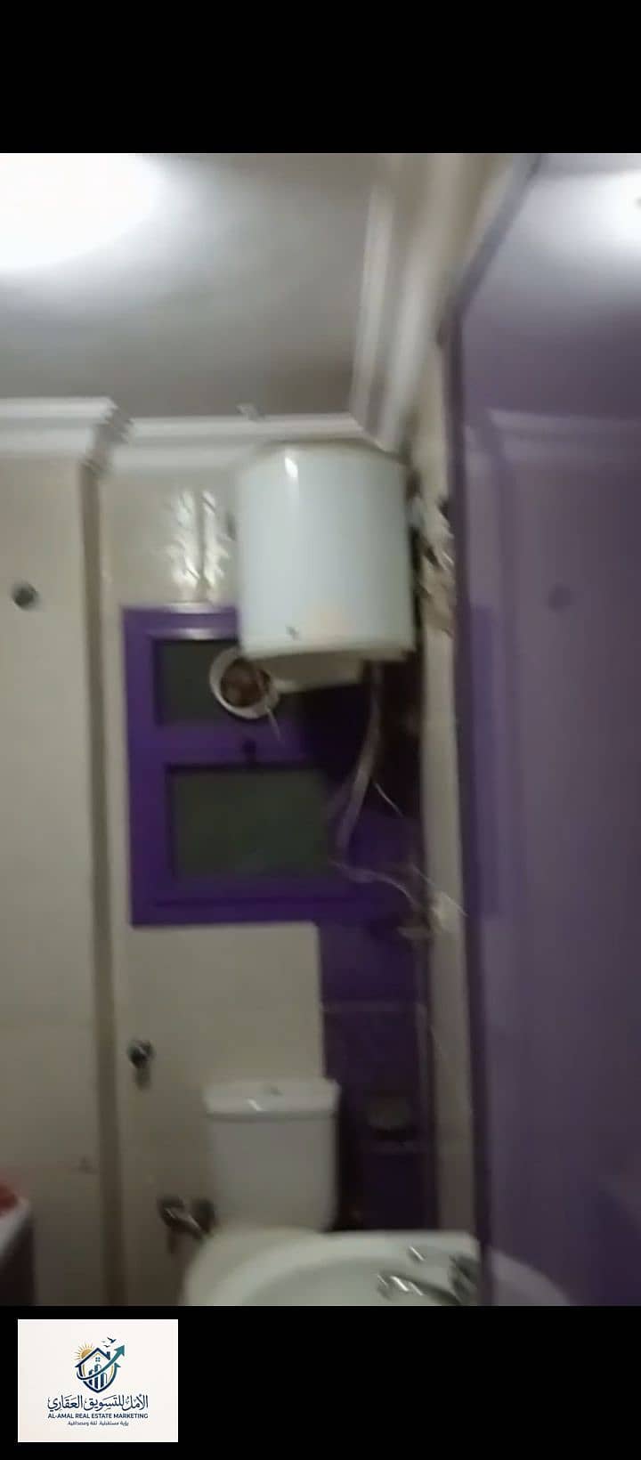 11 1000278425. jpg