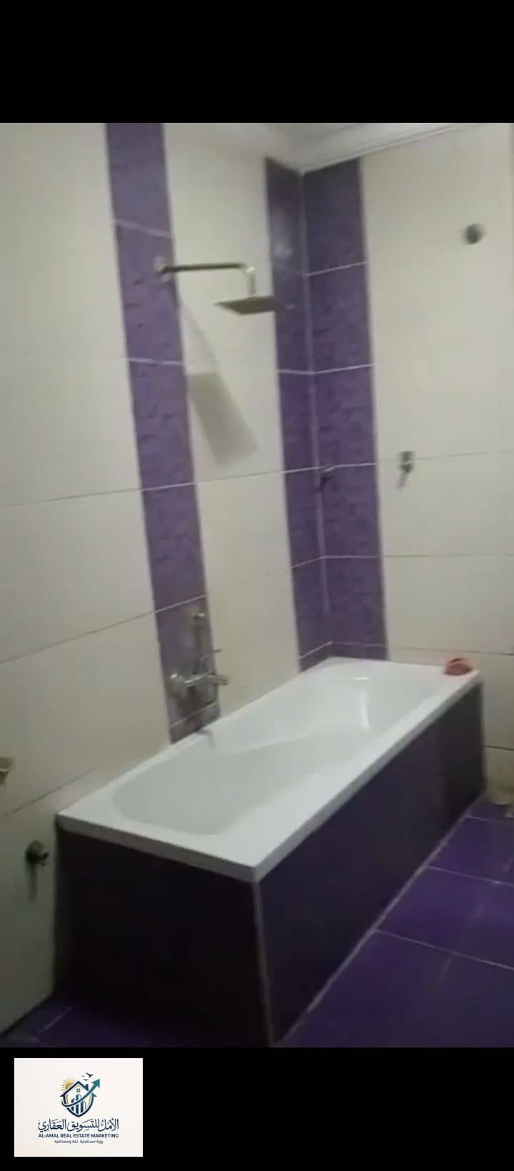 12 1000278424. jpg