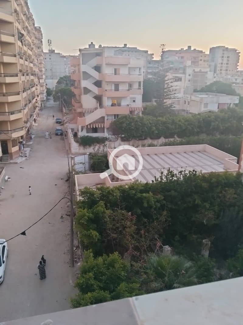 9 39475. jpg