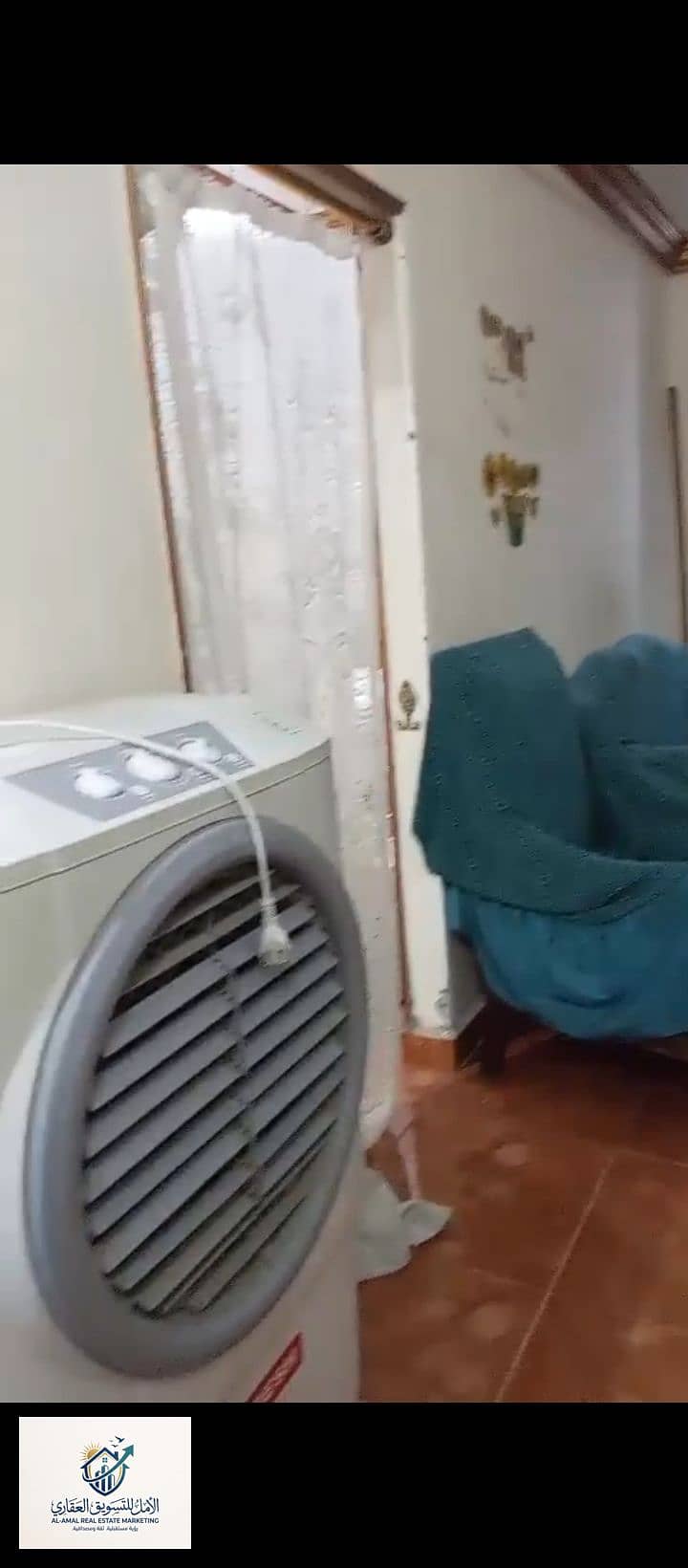3 1000278458. jpg