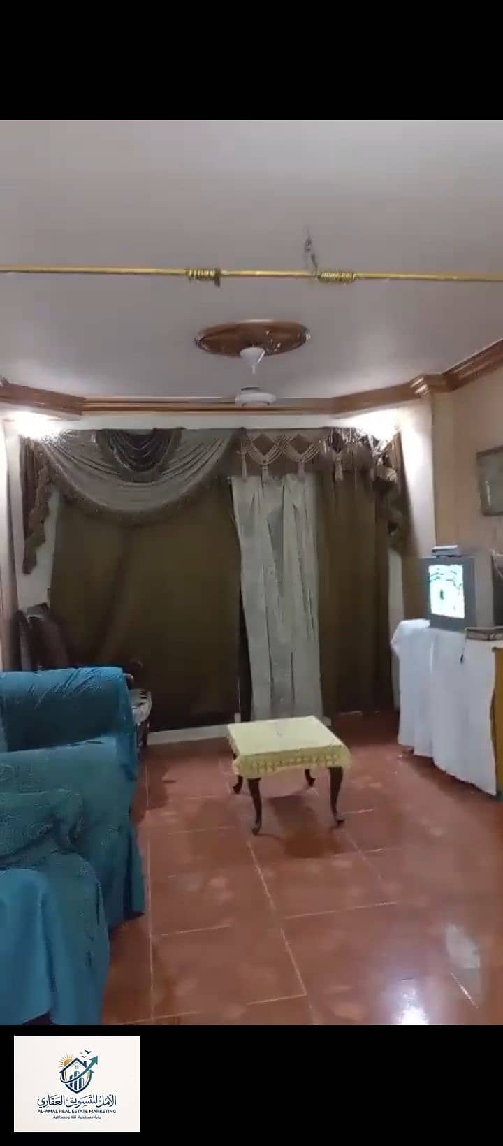 5 1000278464. jpg