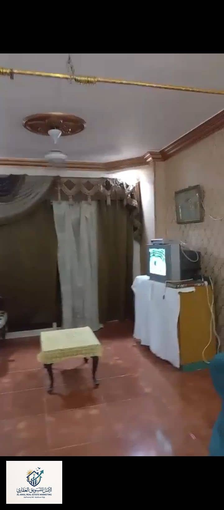 7 1000278465. jpg