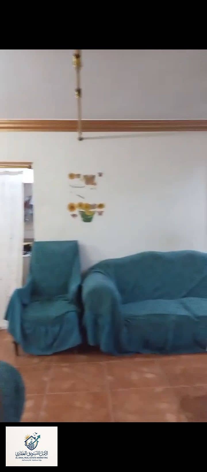11 1000278478. jpg