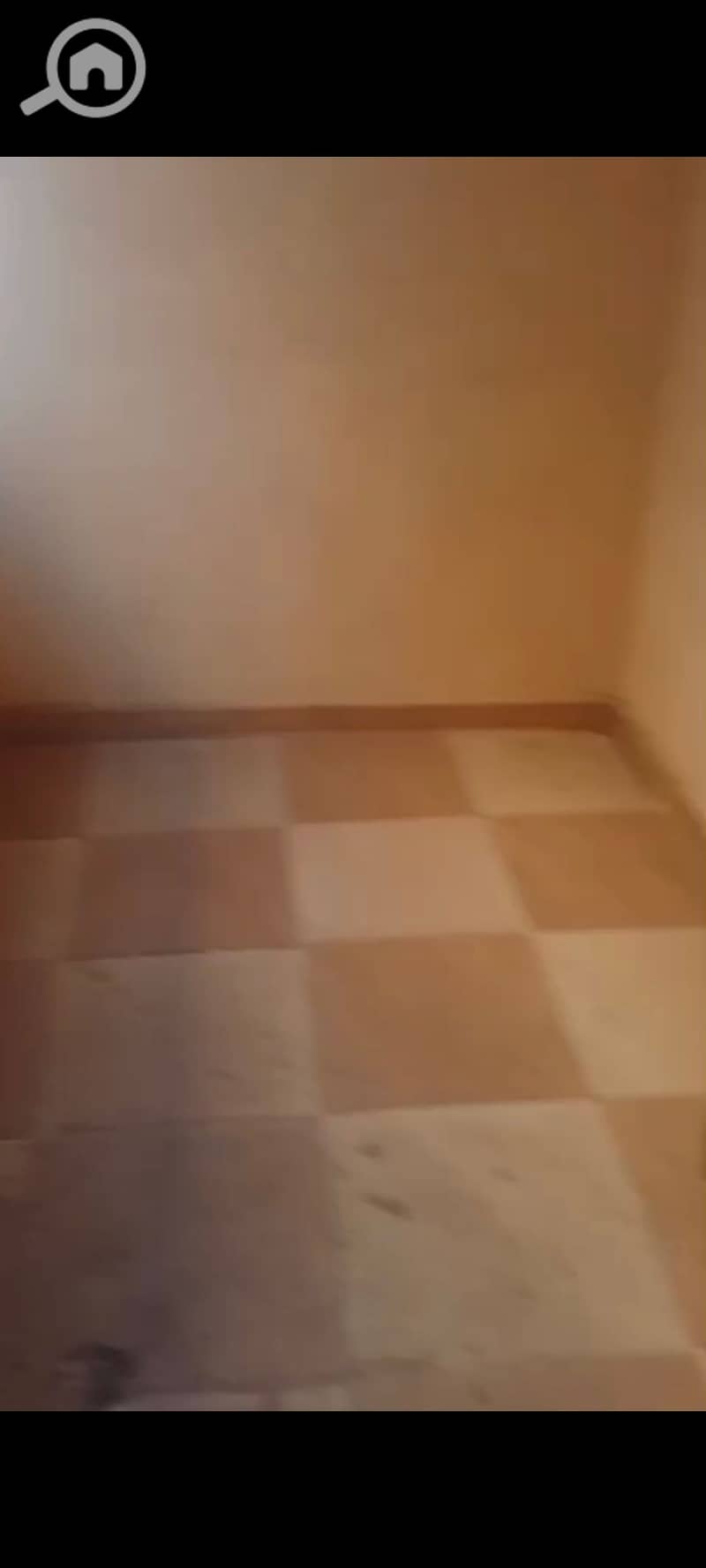 6 123765. jpg