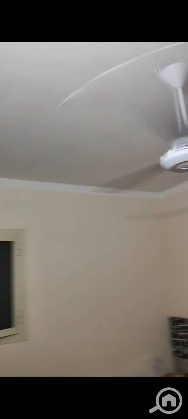 12 123775. jpg