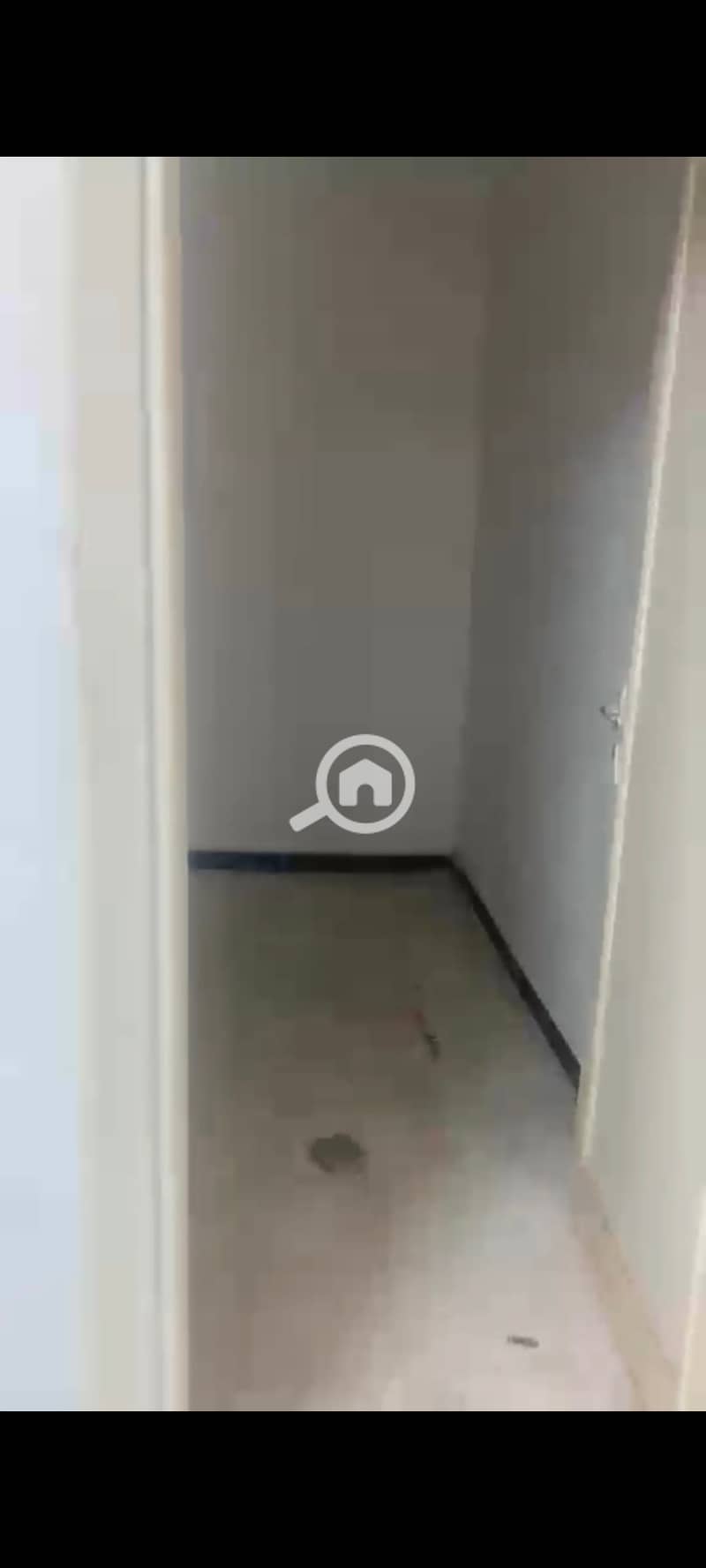 3 123816. jpg