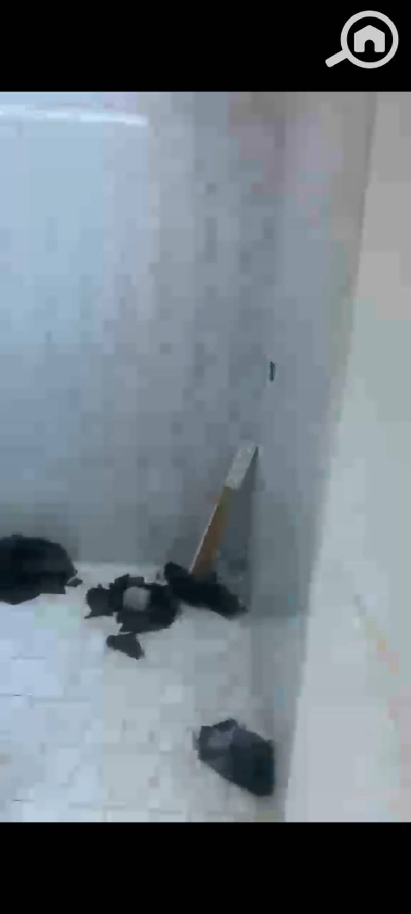 9 123810. jpg