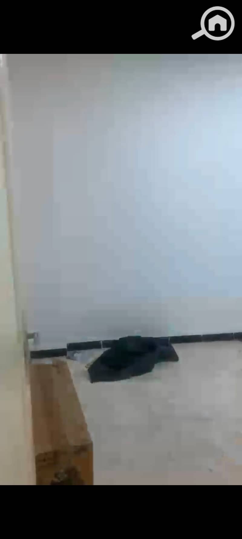 14 123804. jpg