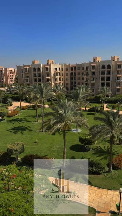 2 Bedroom Flat for Rent in New Cairo, Cairo - 1001008031. jpg 2 Bedroom Flat for Rent in New Cairo, Cairo - 1001008031. jpg