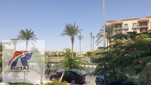 3 Bedroom Flat for Rent in New Cairo, Cairo - WhatsApp Image 2026-09-15 at 1.37. 14 PM. jpeg